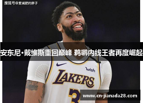 安东尼·戴维斯重回巅峰 鹈鹕内线王者再度崛起