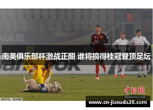 南美俱乐部杯激战正酣 谁将摘得桂冠登顶足坛